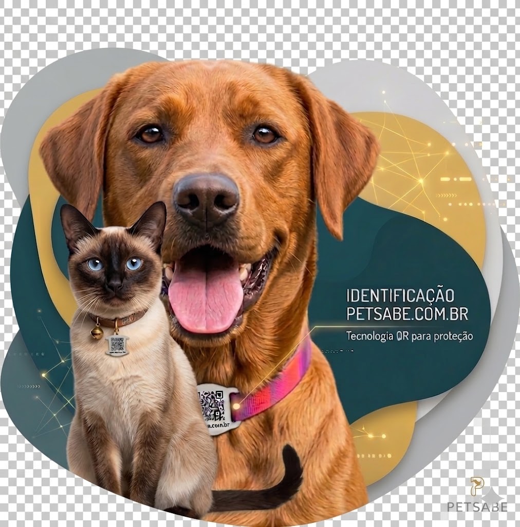 Cão e gato com tag PetSabe de identificação